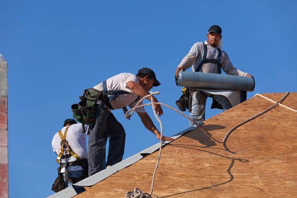 Best New Roof Installation  in Holladay, UT